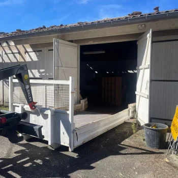 WhatsApp Image 2025-10-09 at 16.49.44